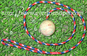 small rubber ball with rope