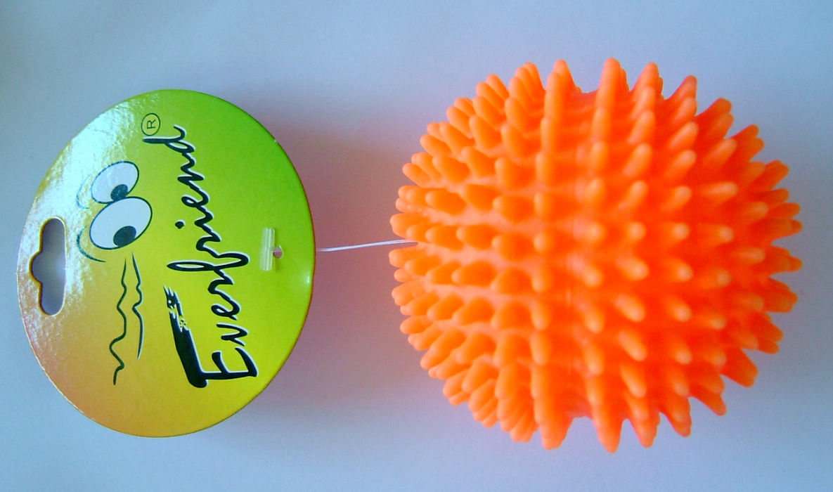 small spikey ball with squeaker