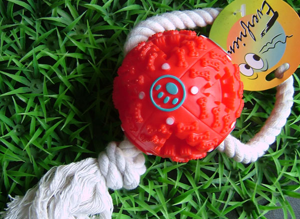 Red treat ball with rope