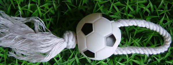 small soccer ball with rope
