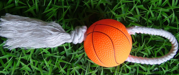Small basket ball with rope toy