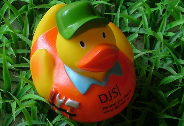 fixed duck
