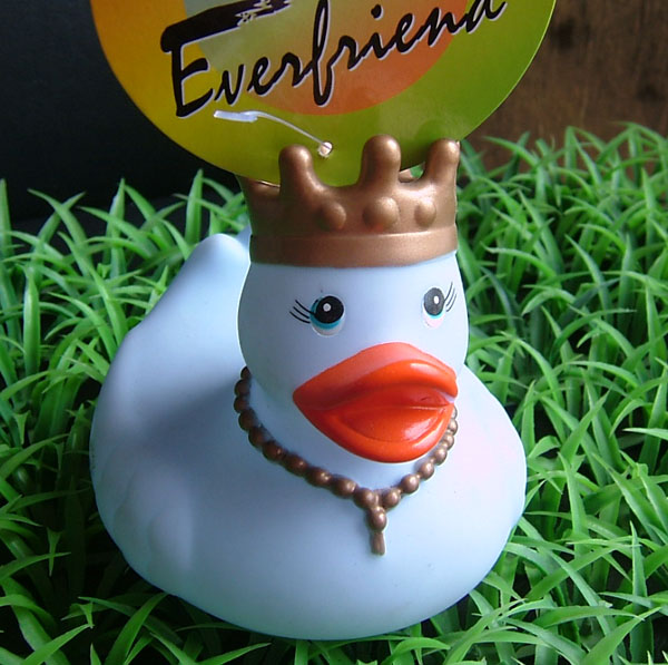 Queen duck